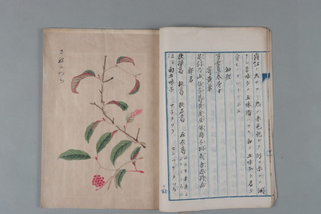 「古今要覧稿　ことみち八」