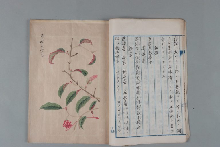 「古今要覧稿　ことみち八」