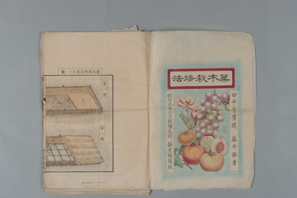 「菓木栽培法着色版　擦手本」