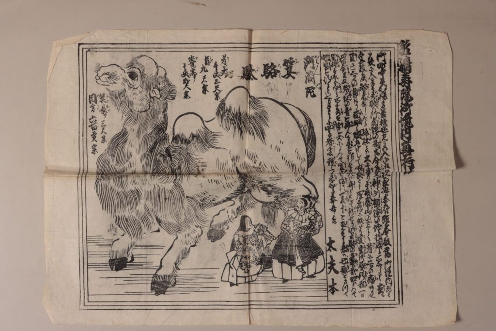 （阿蘭陀箕駱駝図）