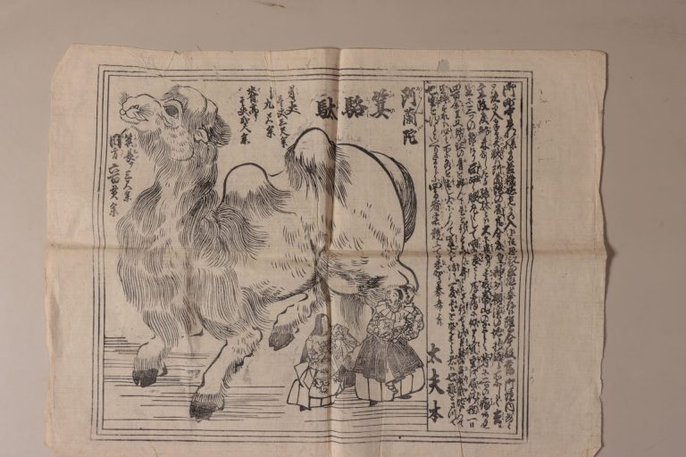 （阿蘭陀箕駱駝図）
