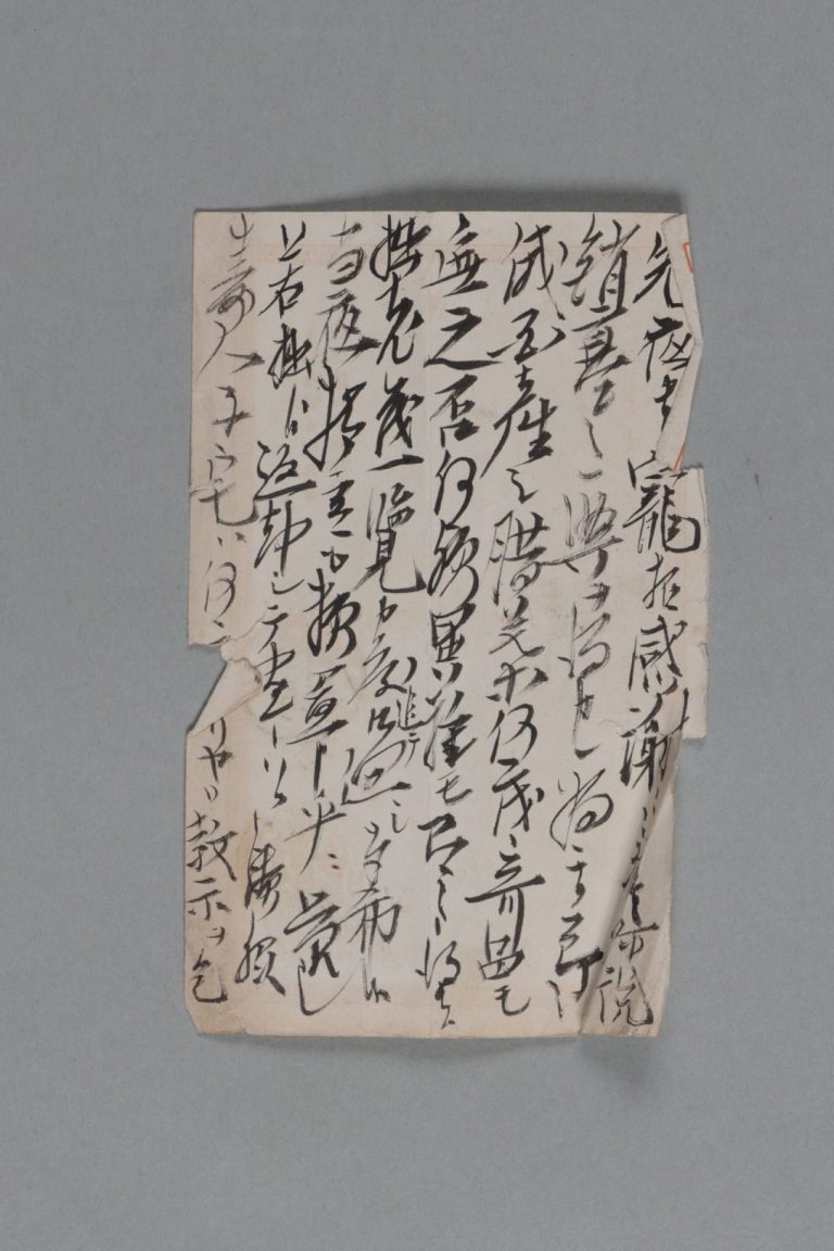 田中芳男宛伊藤圭介書簡